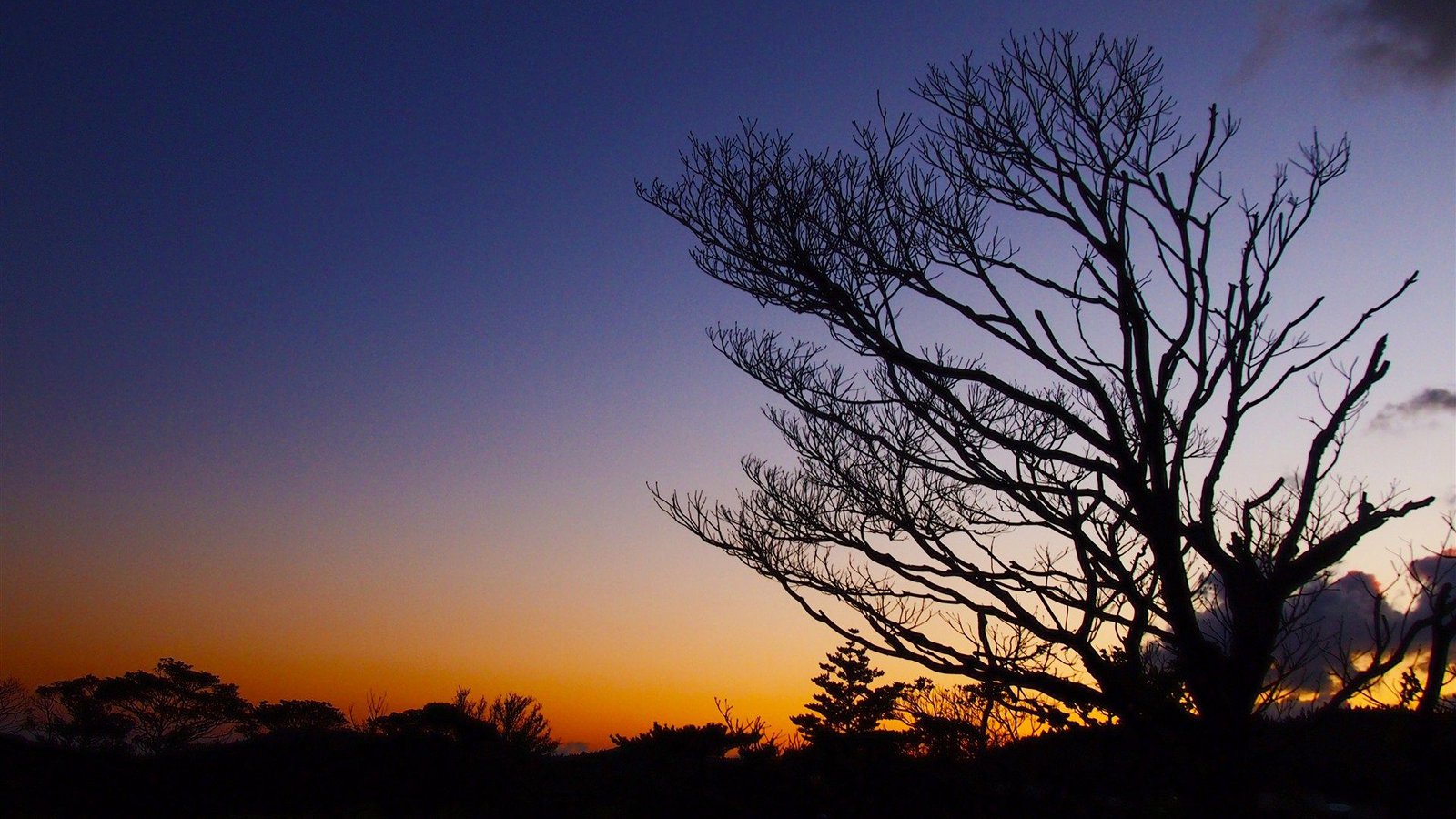跟摩羯男表白后不联系我躲着我了,一个我喜欢的男生刻意躲着我