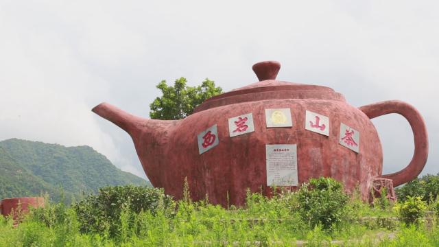 梅州的茶有哪些,梅州最出名的茶