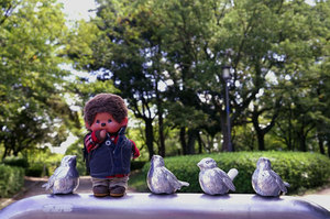 jr大阪一日游,大阪jr旅游攻略