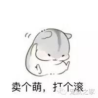 适合学生养的1元宠物,双鱼座适合养什么宠物