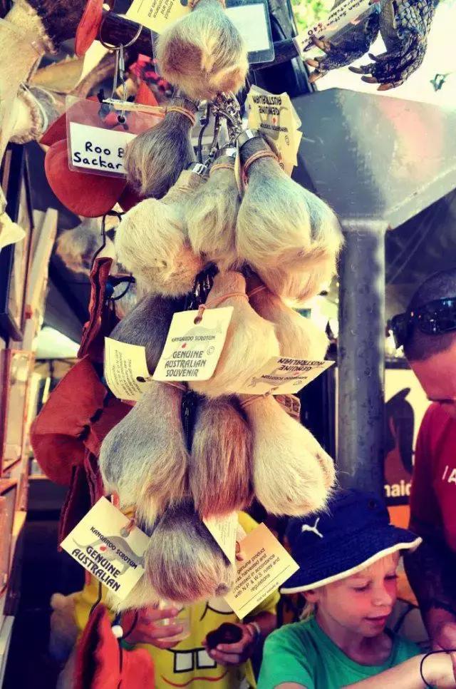 2016澳洲伴手礼清单,澳洲伴手礼推荐