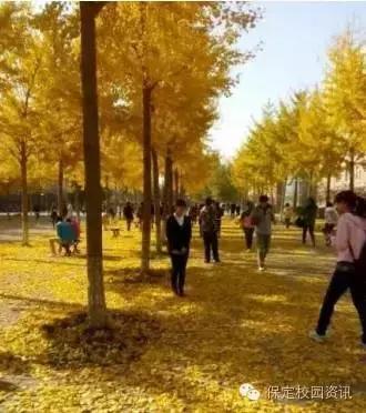 保定夏季“9所”最美大学校园