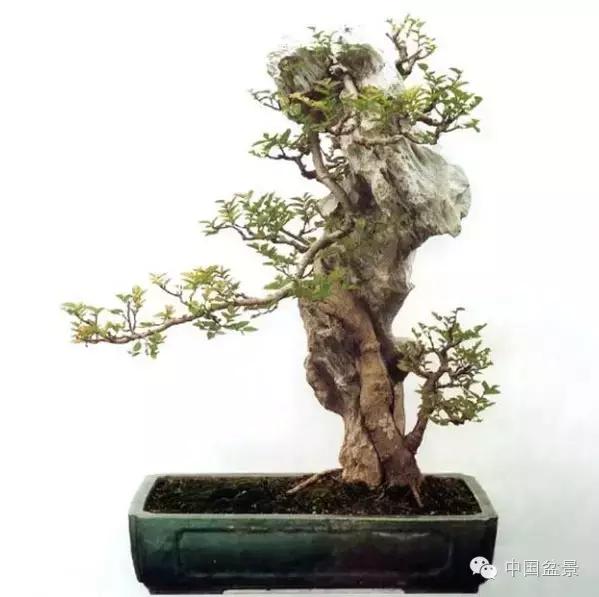 相识满天下知己有几人谁说的,相识满天下知己无一人出处