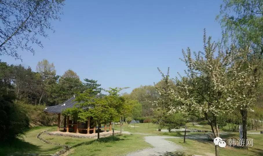 老司机的韩国南部深度游！老司机请带带我这才叫旅游！