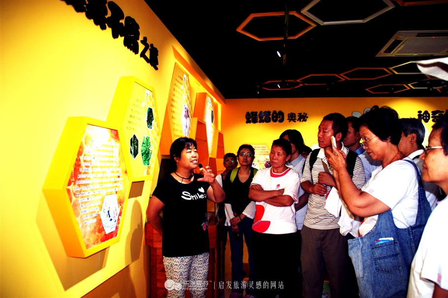 石家庄赞皇特产枣花,赞皇枣花