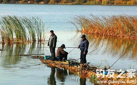 秋季夜钓线组搭配和饵料选择技巧,秋天野钓可以用香甜饵吗