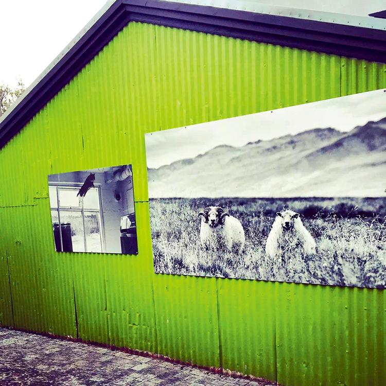 手机旅行摄影拍照,手机旅行vlog摄影教学视频