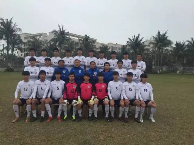 长城杯古典金龙,长城杯视频