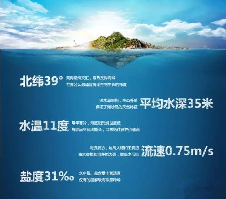 最有名的辽参,辽参真的那么好吗