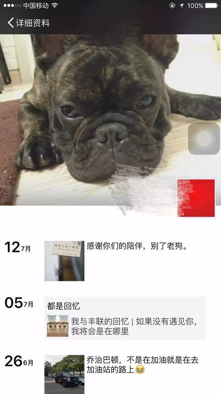 细扒王宝强离婚细节 是什么痛让他敢于宣布被戴了绿帽？