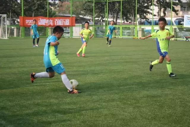 宝宝树北京发布会,宝宝树直播首秀