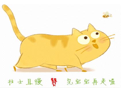 猫咪组合和柴犬组合，你喜欢那一组？