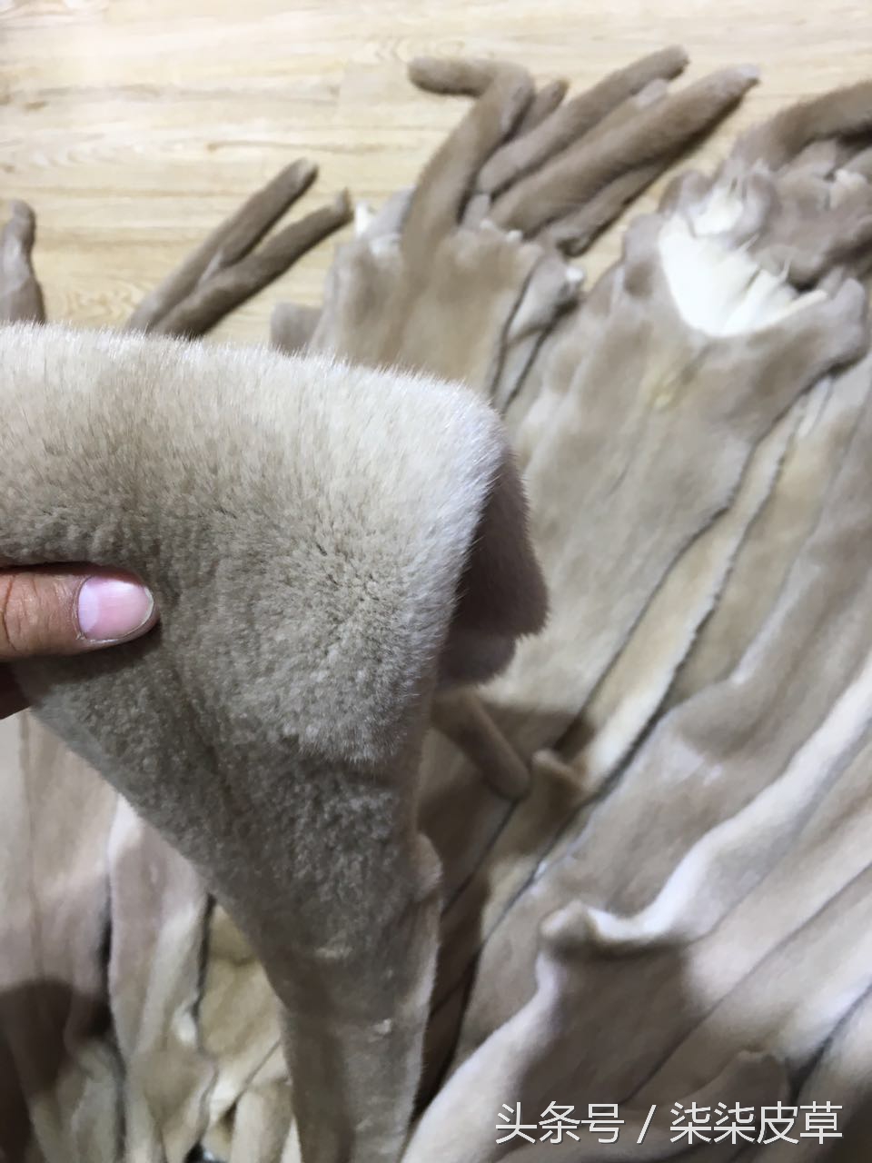 皮草怎么鉴别好坏,皮草的好坏如何鉴别