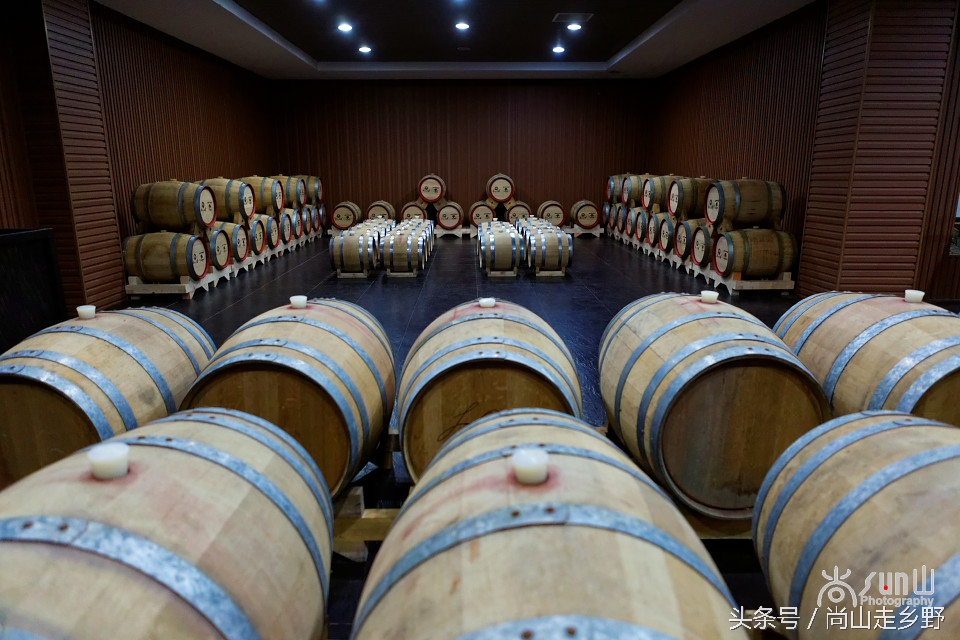 走进红酒庄园,走进葡萄庄园