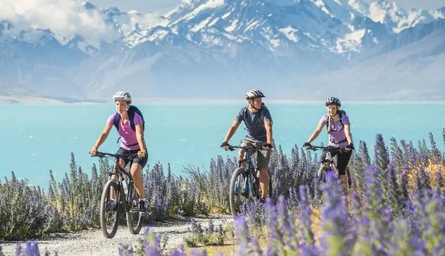 老中医蜂蜜系列,老中医生姜蜂蜜