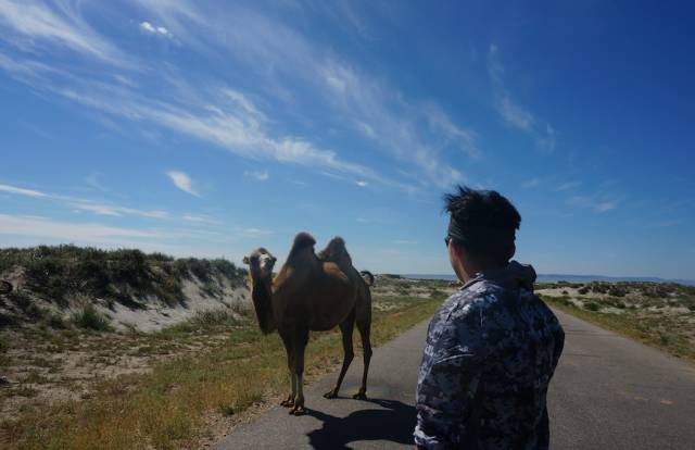 海马s5试驾越野,试驾海马s5