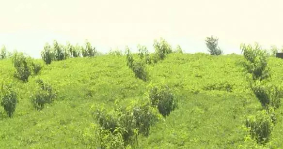 记安丘市柘山镇老子村第一书记赵学和