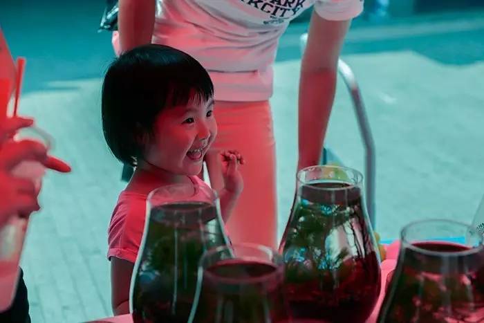 红斑马鱼品种大全图片,热带鱼新手入门推荐小鱼缸