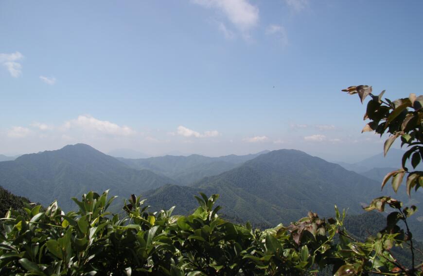 魅蓝e评测,魅族魅蓝e银色配置