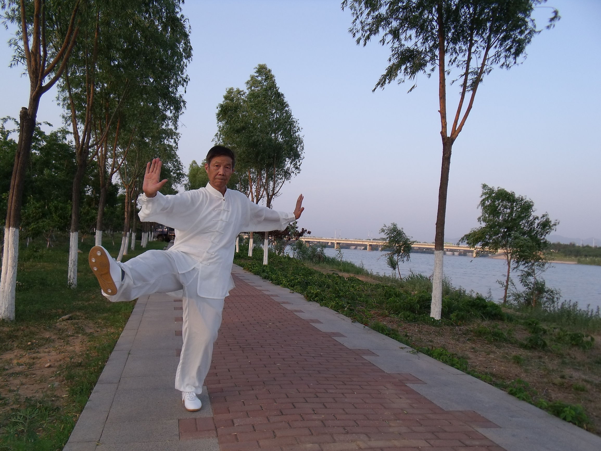 人的微循环障碍改善表现,微循环障碍对人体的影响