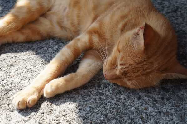 在台湾流浪14天~火星人的环岛路线！