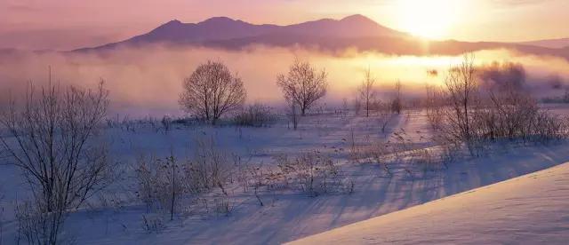 东莞第一场雪哪一年,东莞哪一年下过雪