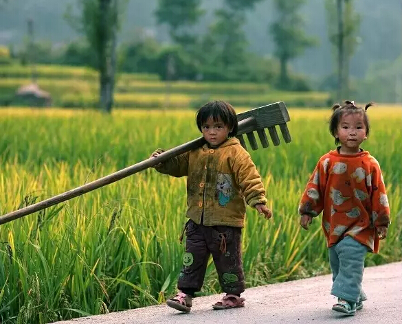 我来自蓟县的农村，你会嫌弃我不？