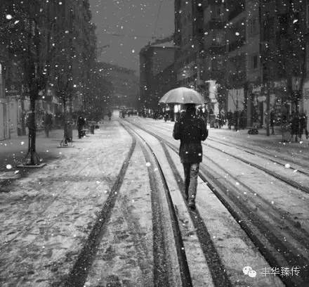 帽哥推荐｜道不尽的张爱玲