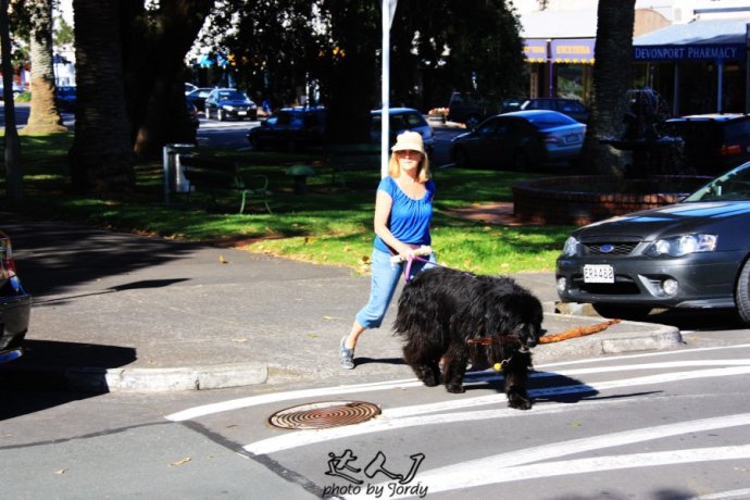 到怀希基岛,品酒-看海