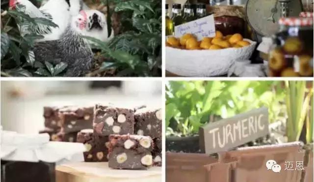 澳洲黄金海岸度假,澳洲黄金海滩自驾游