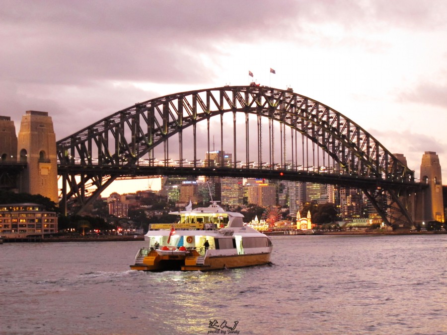 悉尼是啥味道,悉尼盐蚝