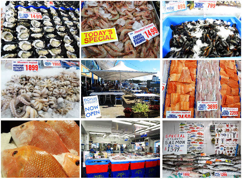 悉尼炎热,悉尼潮湿还是干燥