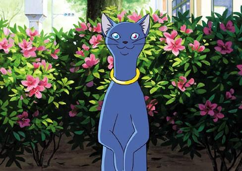 动漫卡通猫的名字,可爱动漫猫图片