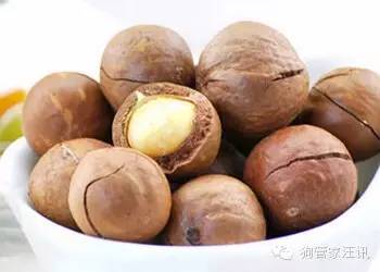 狗狗的十大食物,狗狗禁忌食物一览表