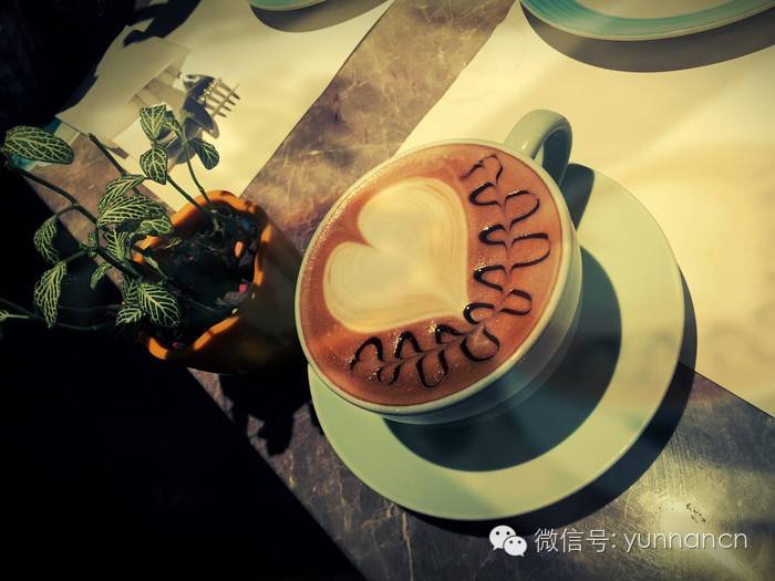 云南农大冷门专业,云南农业大学喝咖啡专业