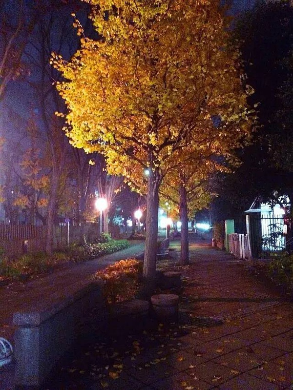 豆瓣日记:我在日本边打工,边考了三年研|三明治普通人故事