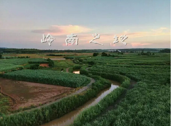 足荣村基本情况,足荣村靠近哪个村