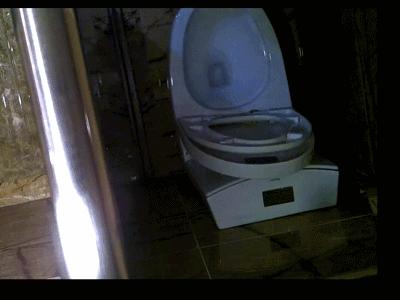 第一调查网都调查些什么,第一调查靠谱吗