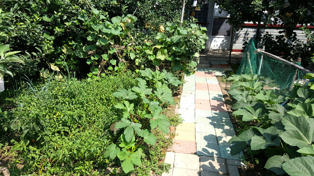 乐亭碧海渔家,乐亭碧海渔家怎么样