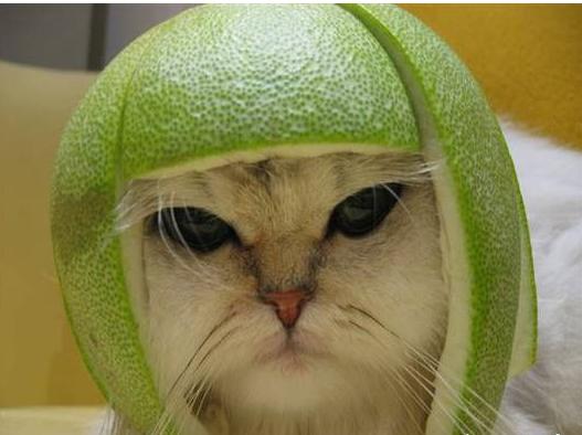 突然转变画风的伤感音乐,突然转变画风的英文歌