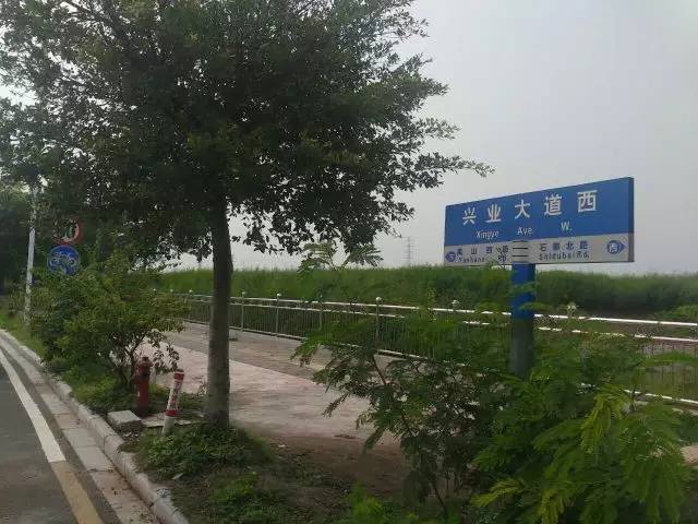 足球场球迷沸腾,广州番禺哪里有免费足球场