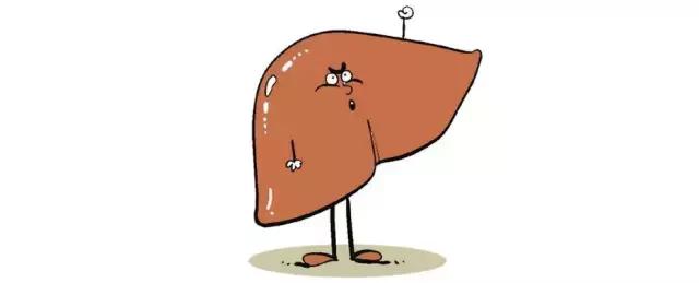 专家讲座如何养肝视频,专家讲护肝方法