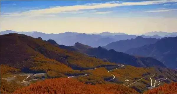 保定周边免费看红叶最佳旅游地点,保定周边一日游看红叶自驾游