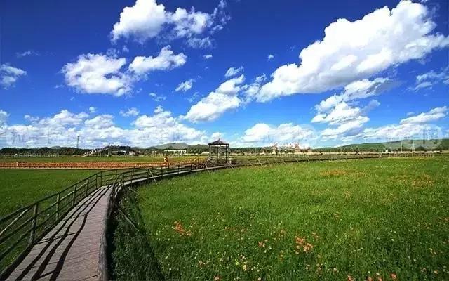 保定周边免费看红叶最佳旅游地点,保定周边一日游看红叶自驾游