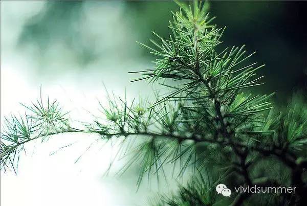 你还在被皮肤问题困扰吗,害人不浅的3大护肤误区