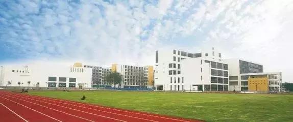 厦门258集团现状,258集团厦门