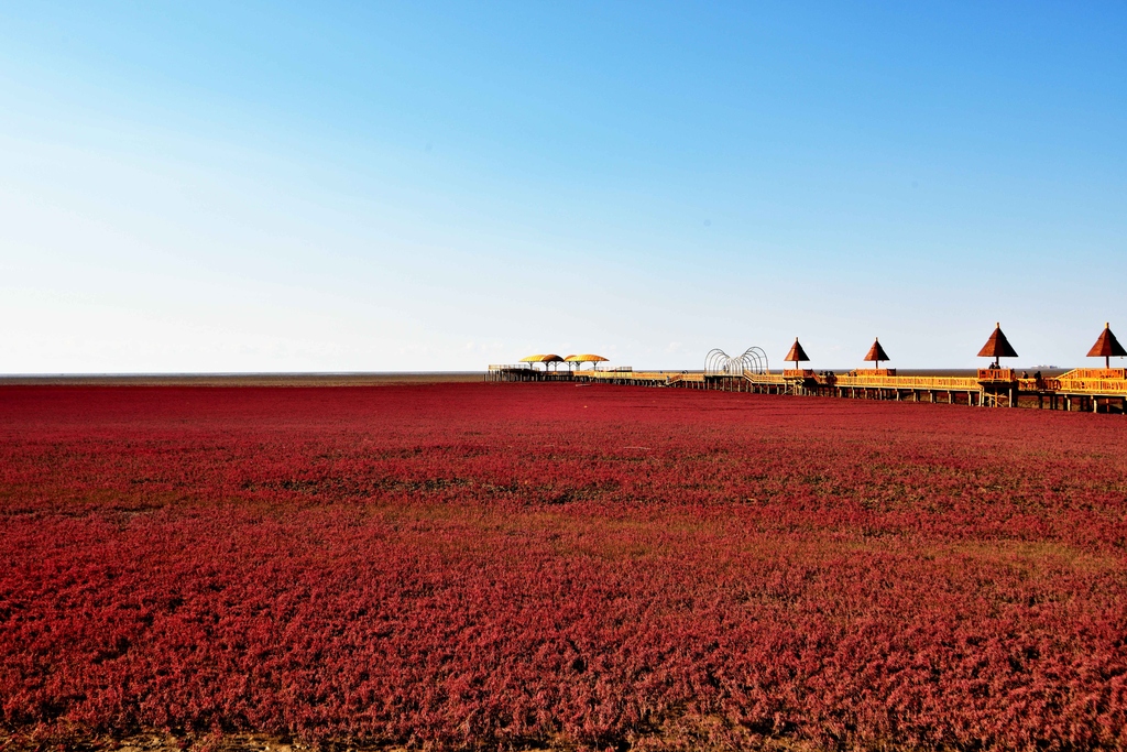 自驾去盘锦红海滩旅游线路,辽宁盘锦红海滩旅游攻略一日游