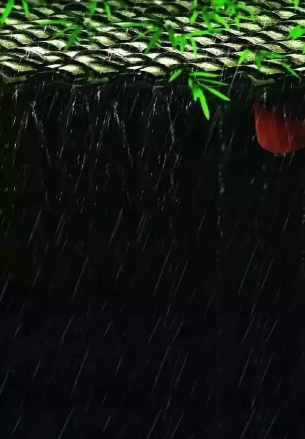 关于长情和深情的古诗词,最深的感情的古诗句