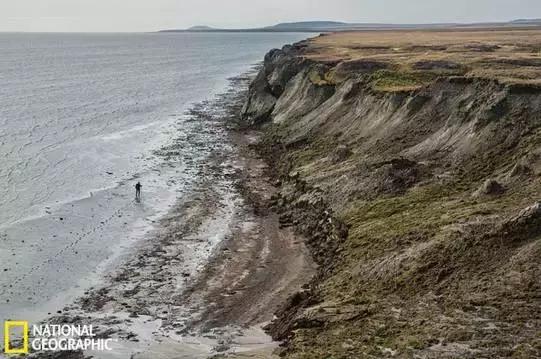 西伯利亚冻土层猛犸象牙 (西伯利亚的猛犸象牙猎人)
