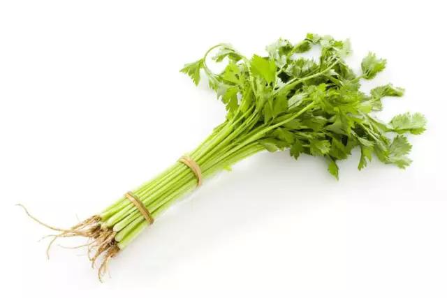 孕妇补铁的食物蔬菜和水果有哪些,孕妇高蛋白和富含dha的食物有哪些